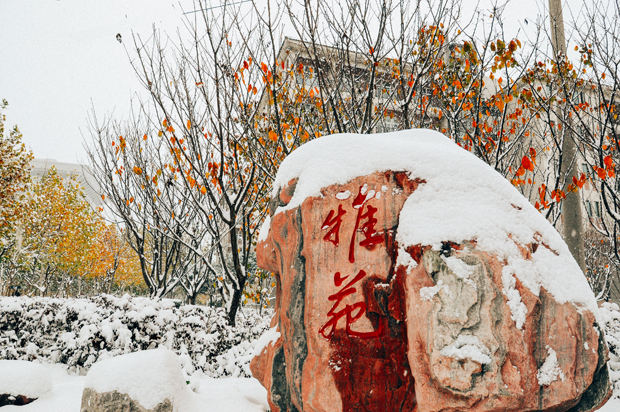 校园雪景