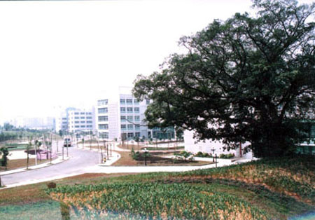 大学城景观