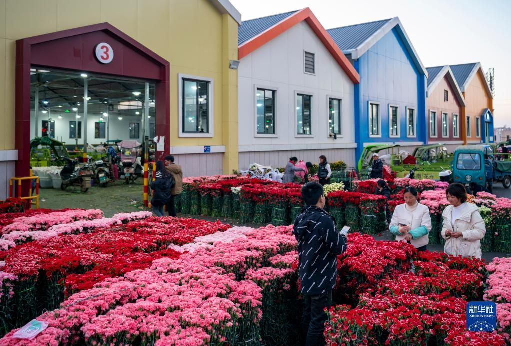 云南昆明呈贡区：花卉市场升温 消费加速回暖