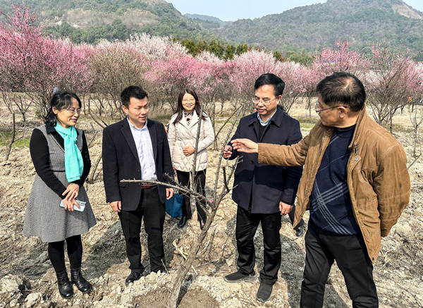 陈弘赴汨罗市川山坪镇九峰梅林调研