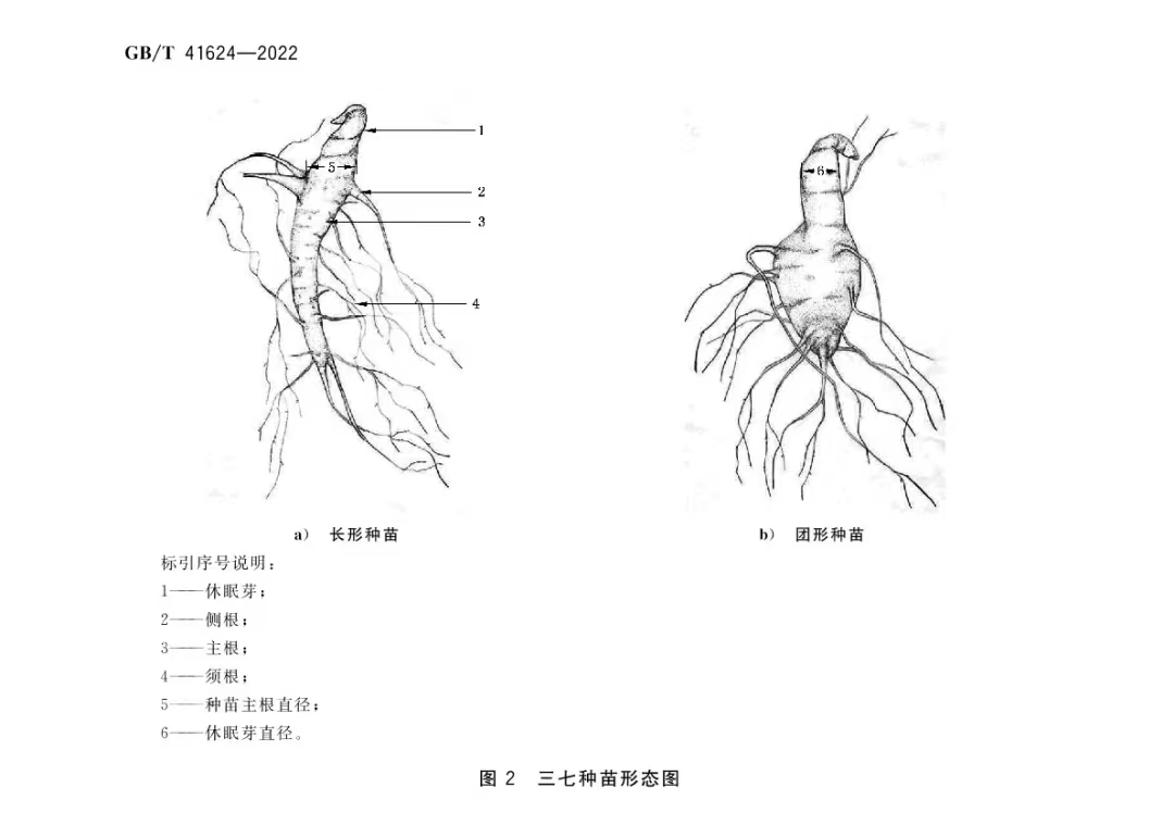 崔秀明课题组牵头起草的《中药材种子（种苗）三七》国家标准发布实施