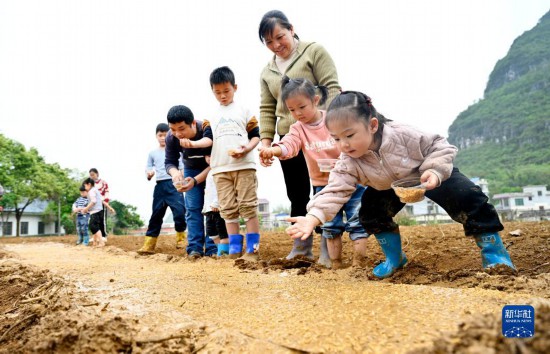 广西柳州：体验农耕文化 感受田间乐趣