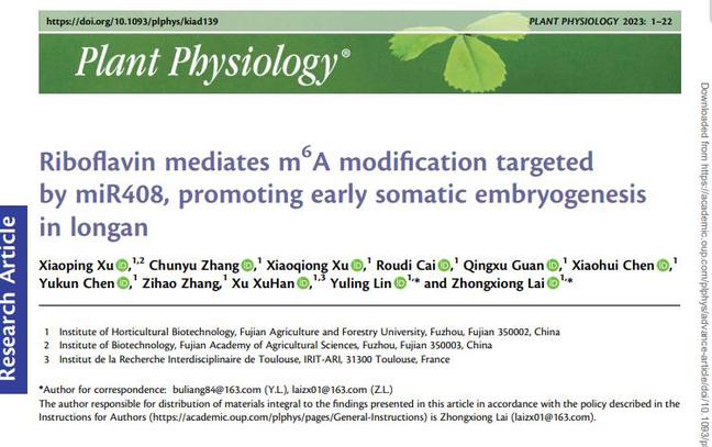 我校园艺学院赖钟雄/林玉玲团队在Plant physiology发表论文，揭示龙眼miR408调节核黄素代谢介导m6A修饰调控体胚发生过程的新机制