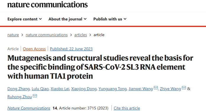 生命科学学院周如鸿团队在Nature Communications发文阐明新冠病毒RNA顺式作用元件SL3与人体关键蛋白作用机理