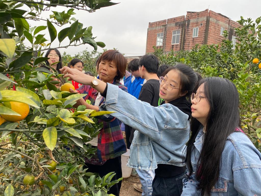 食品科技学院师生走进廉江开展素质拓展实践活动