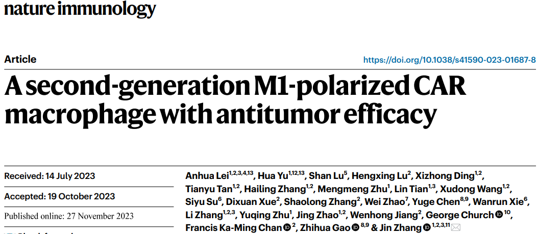 浙大开发第二代工程化CAR-巨噬细胞用于实体肿瘤免疫治疗